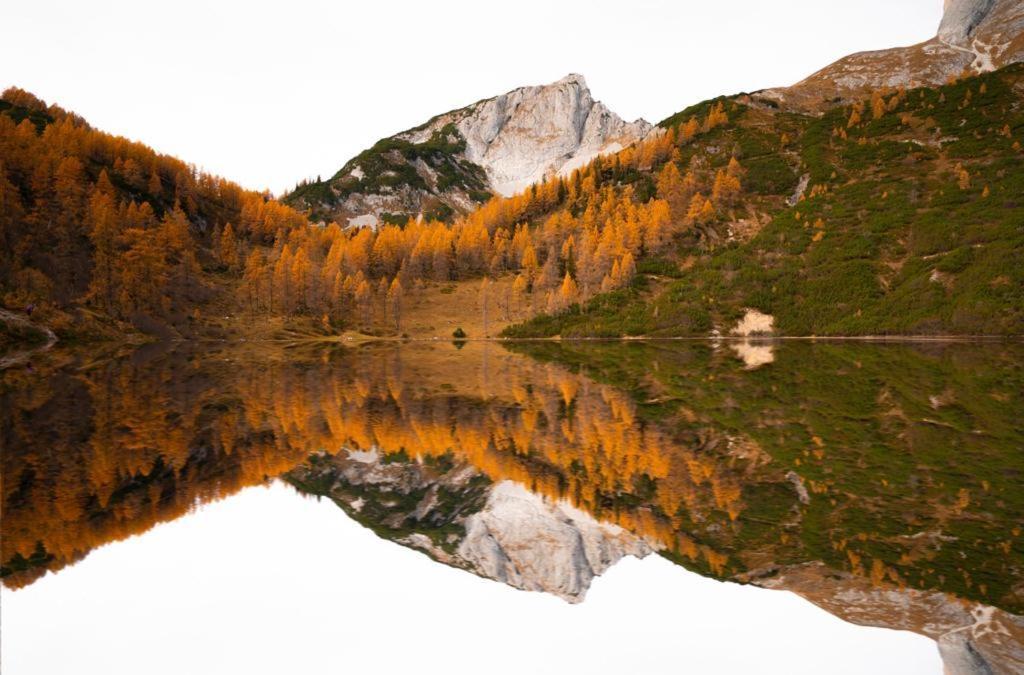 Haus Bergzauber Apartman Ramsau am Dachstein Szoba fotó