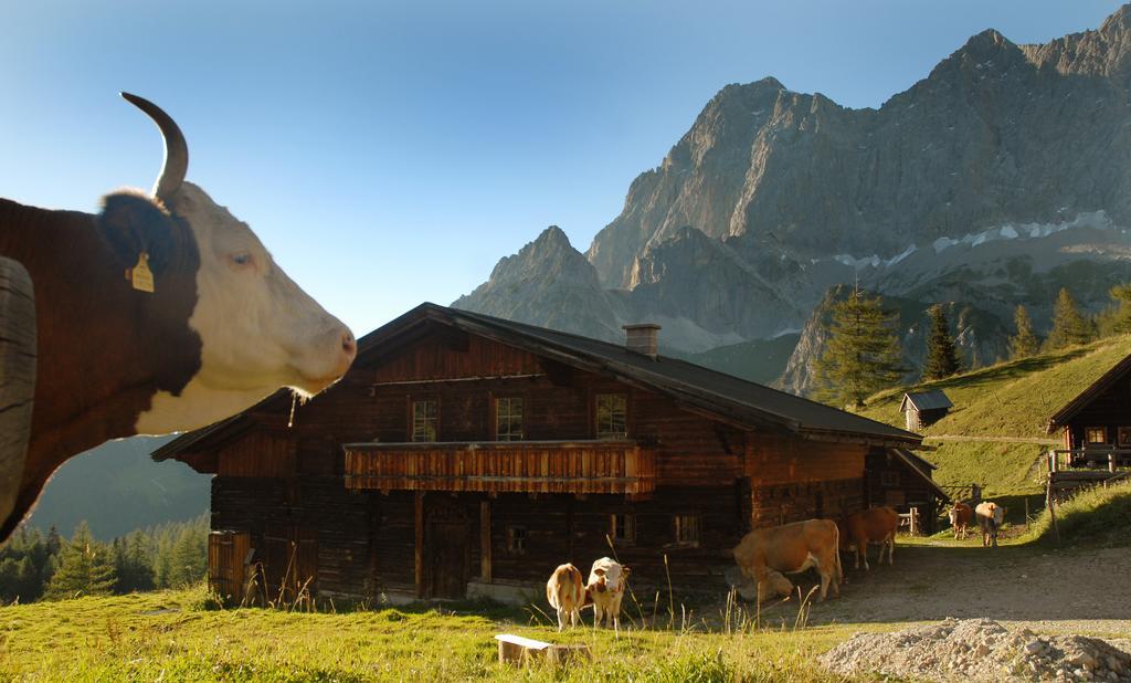 Haus Bergzauber Apartman Ramsau am Dachstein Kültér fotó