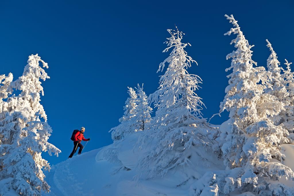 Haus Bergzauber Apartman Ramsau am Dachstein Kültér fotó
